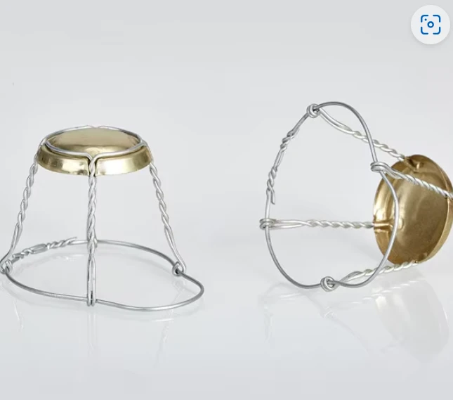 Champagne Cork Wirehood Wire Cage